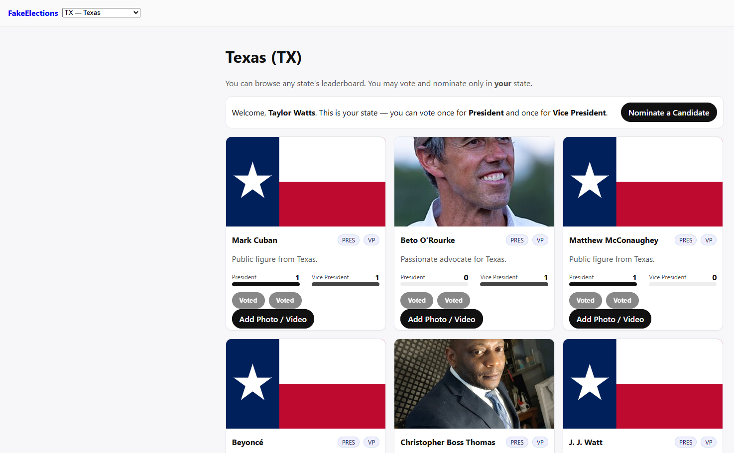 Fake Elections Texas